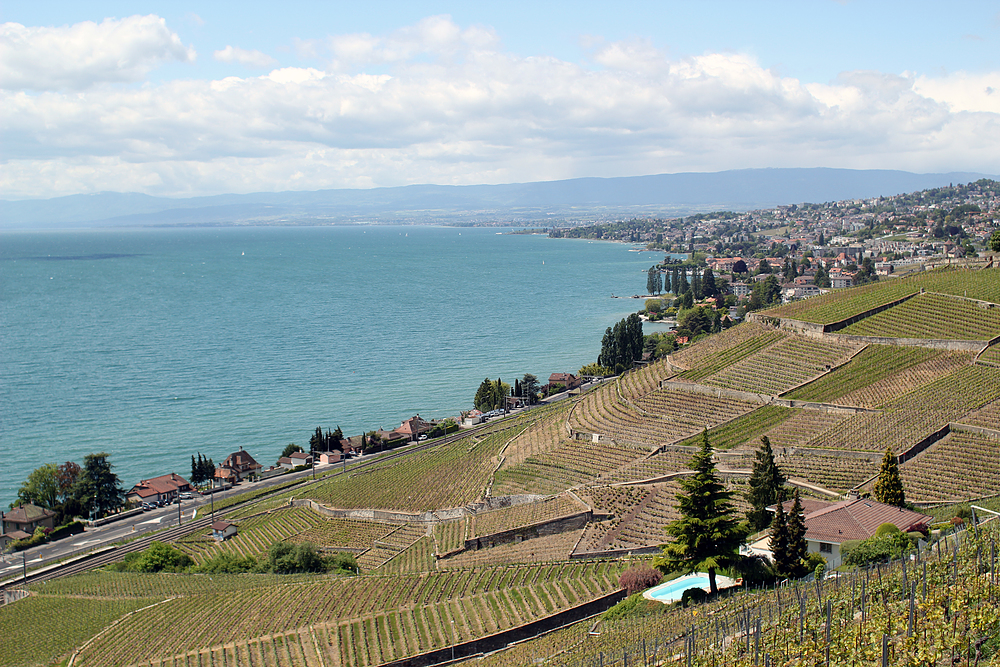 vignes lavaux