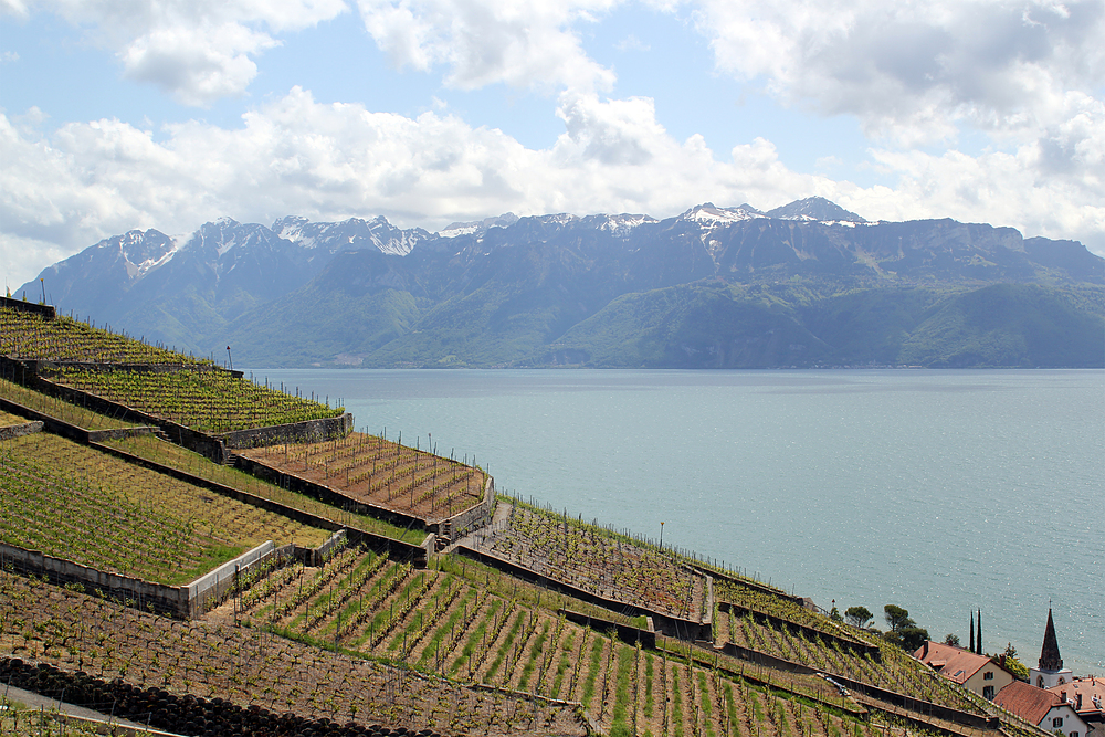 lavaux