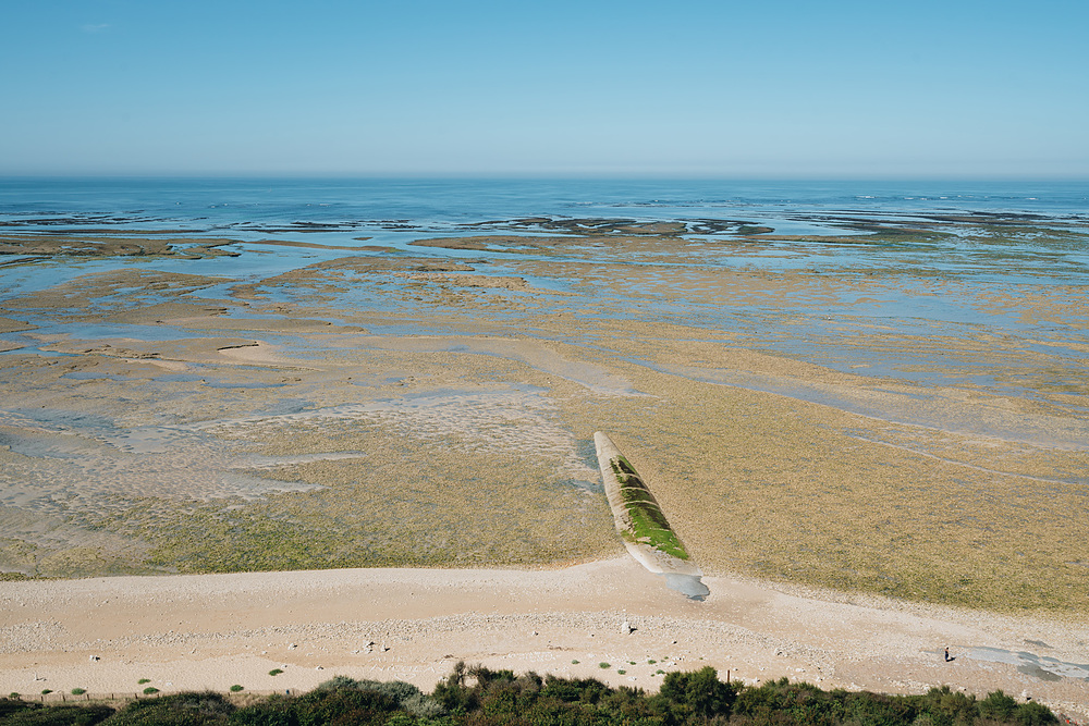 phare des baleines île de ré