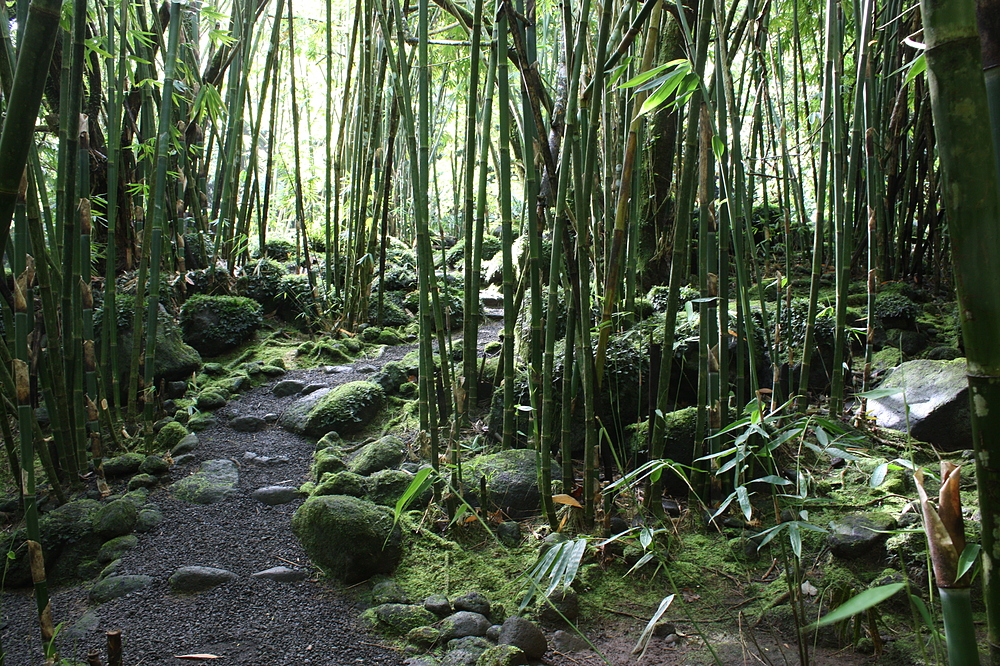 Les trois cascades