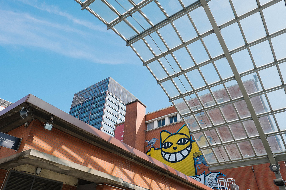 monsieur chat lille tri postal