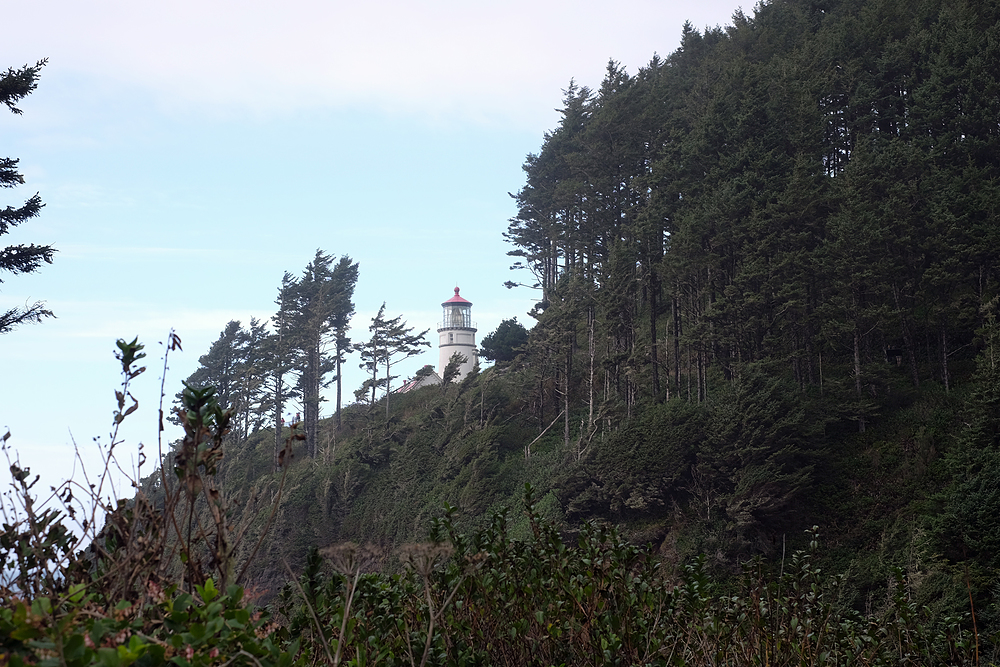 heceta head lighthouse