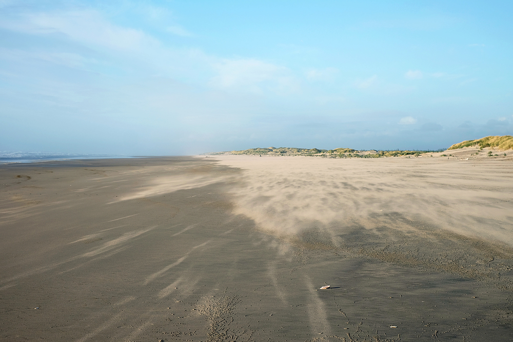 oregon dunes