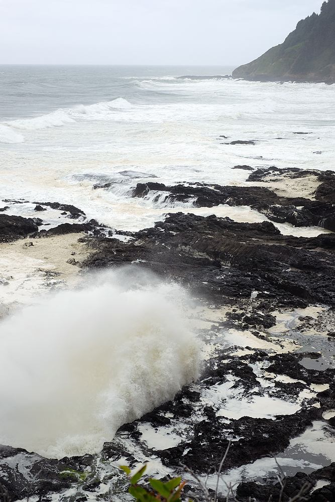 cape perpetua