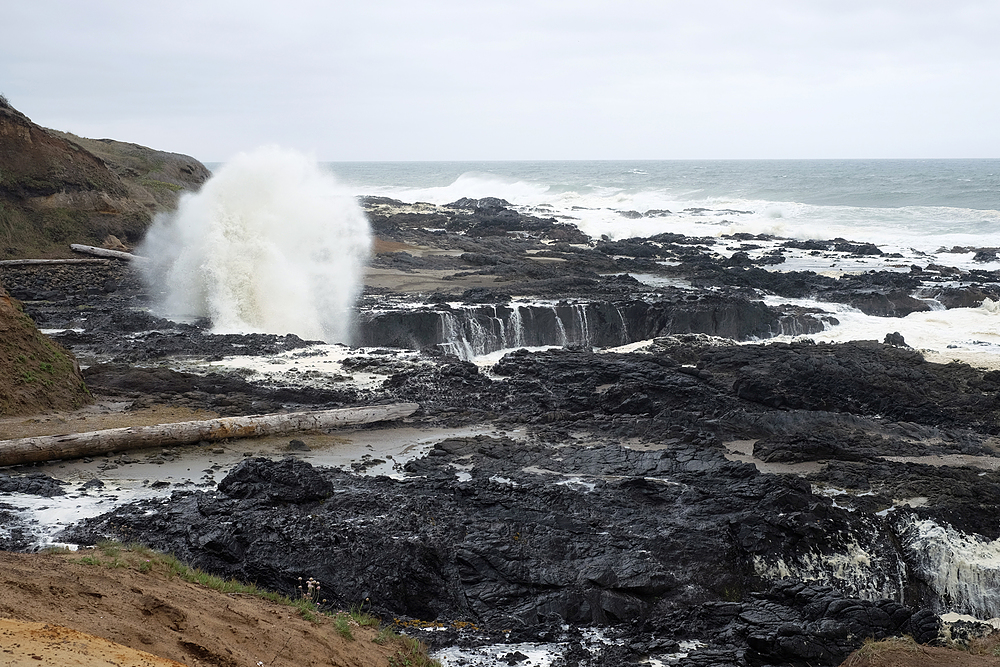 cape perpetua