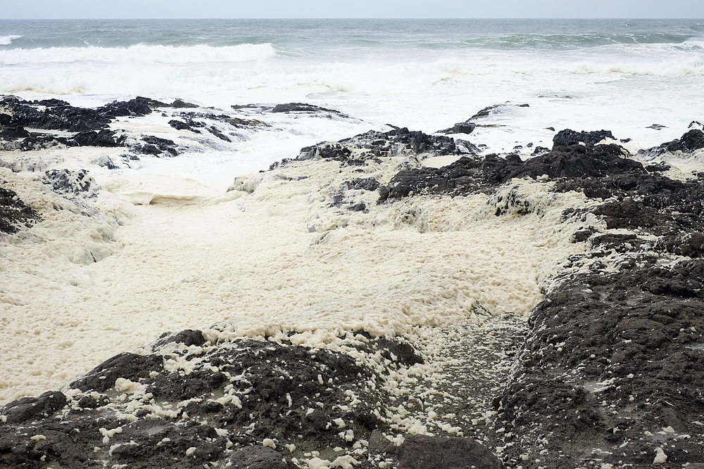 cape perpetua