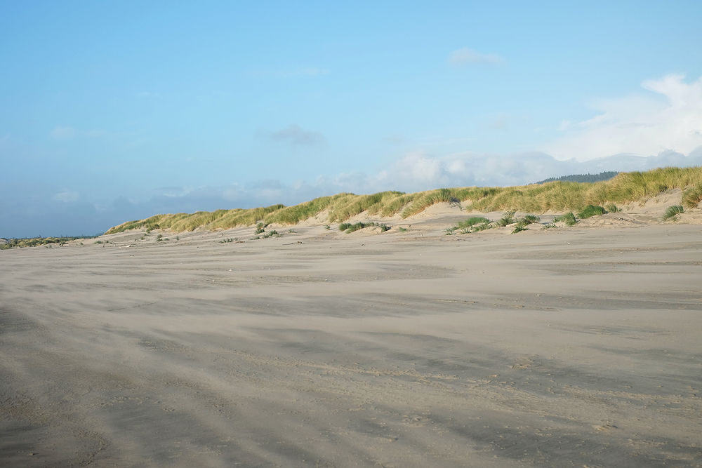 oregon dunes