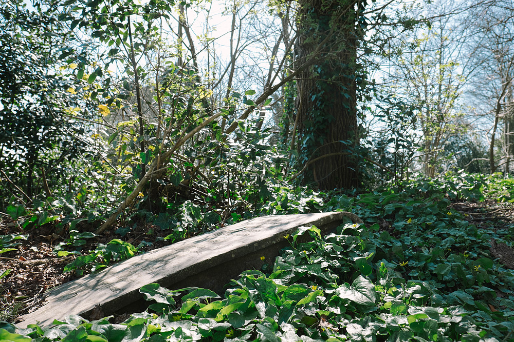 cimetière lyndhurst