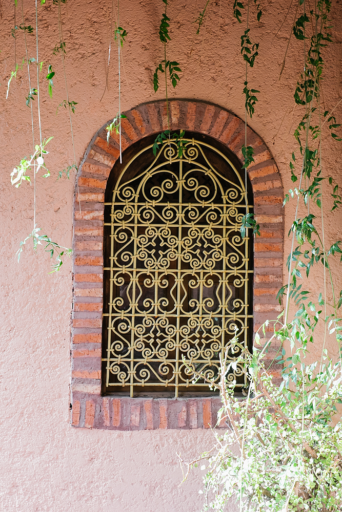 jardin majorelle