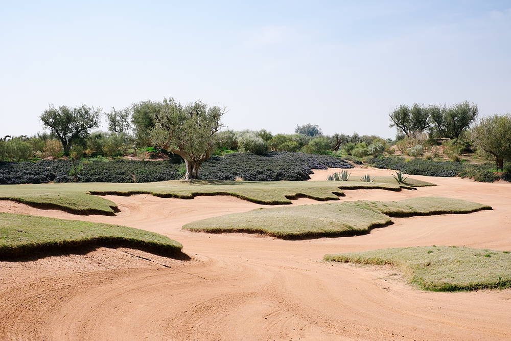 golf royal palm marrakech