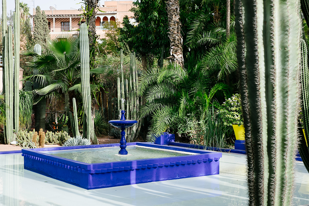 jardin majorelle