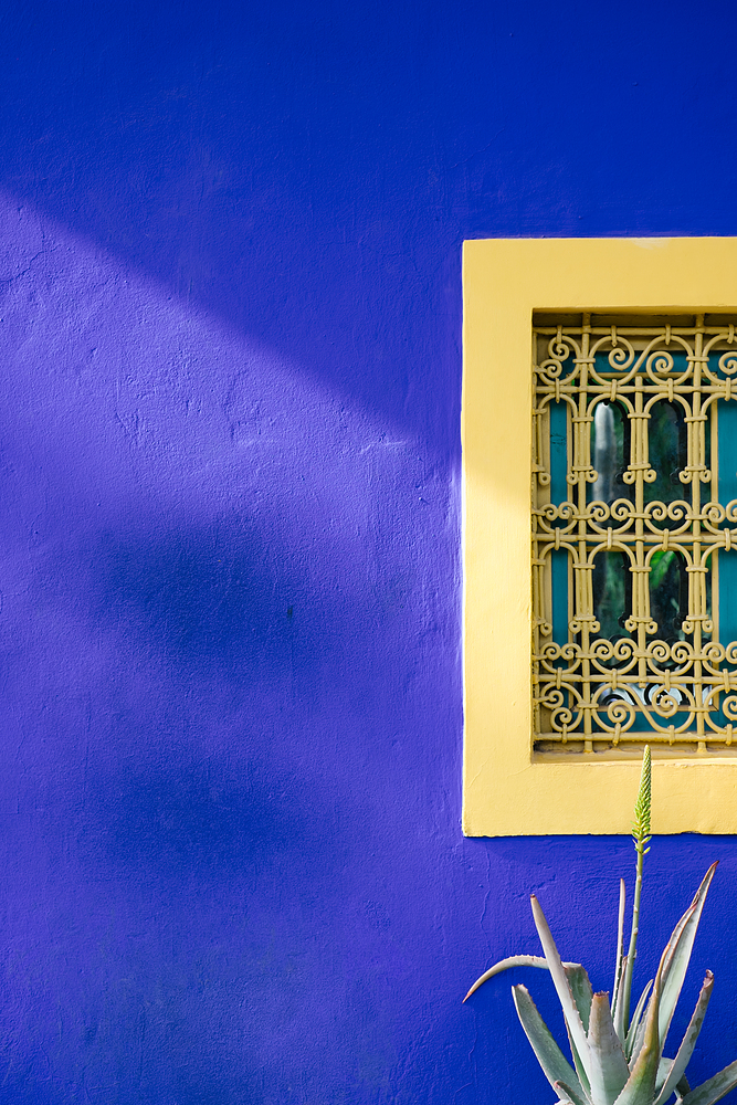 jardin majorelle