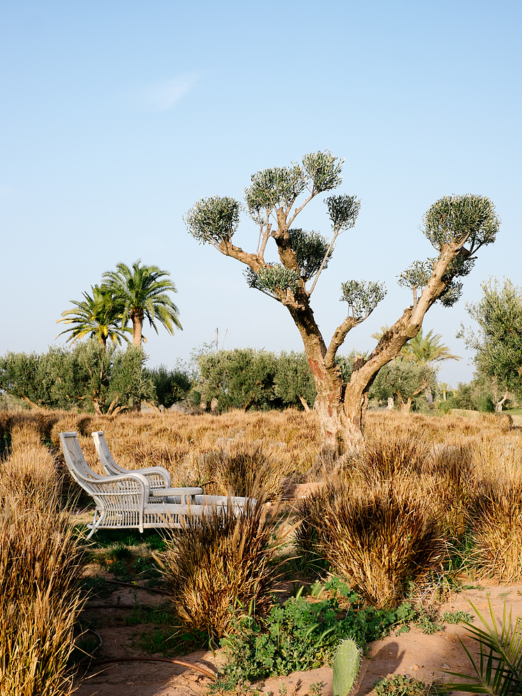 jardin royal palm marrakech