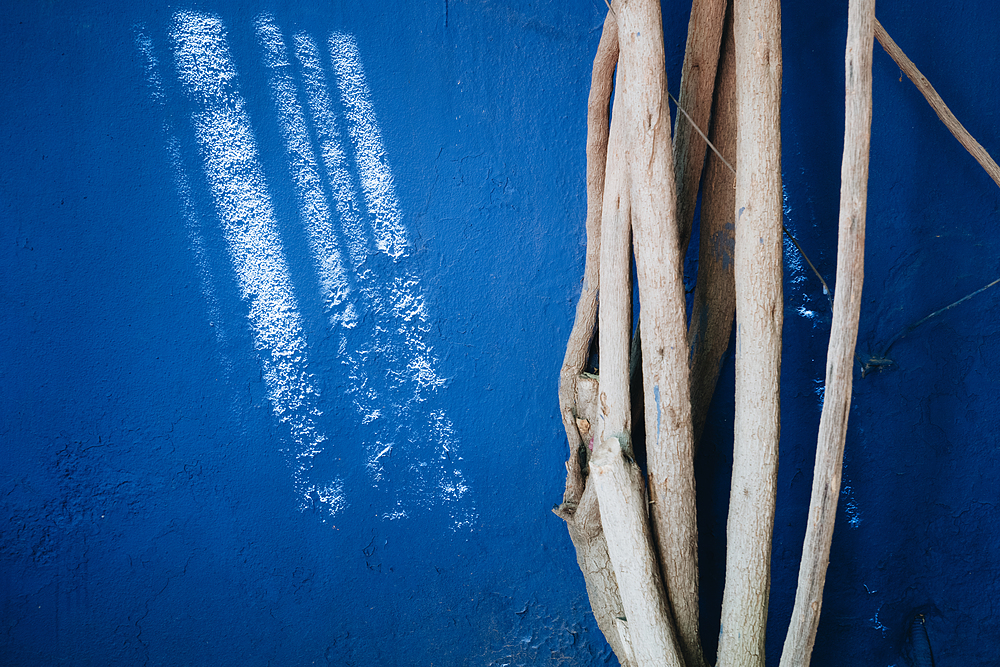 Jardin Majorelle