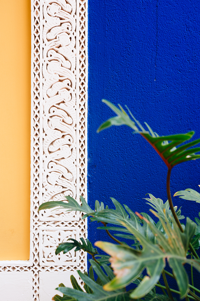 Jardin Majorelle