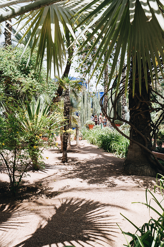 Jardin Majorelle