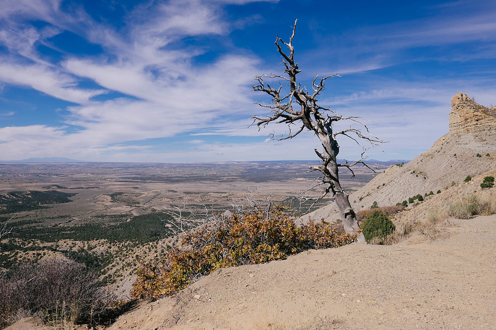 mesa verde national park