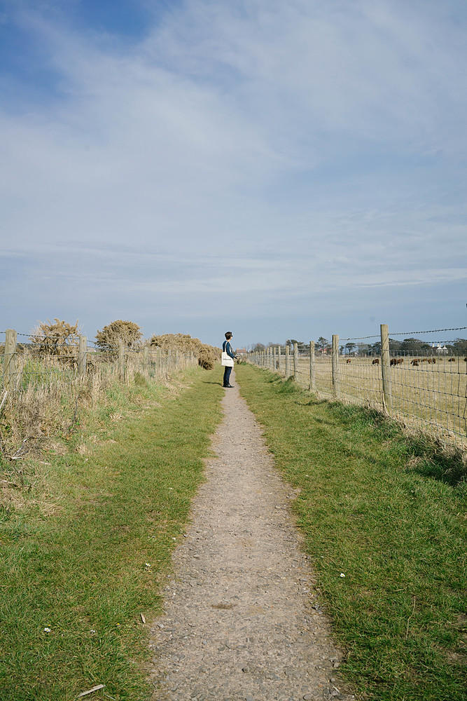 milford on sea