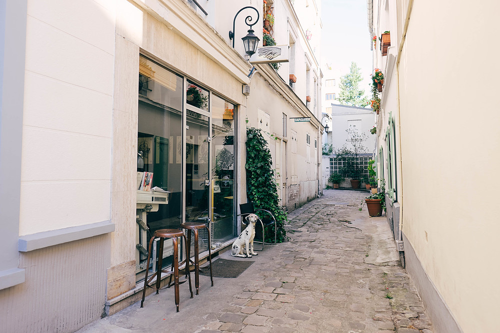 passage lepic paris