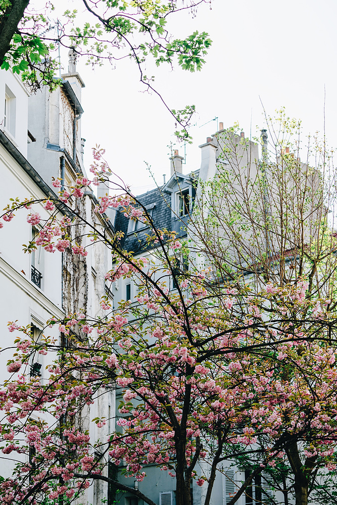 Les Abbesses en été