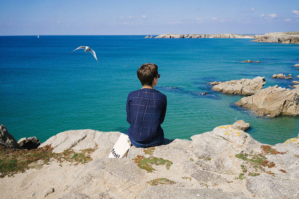 mouette cote sauvage