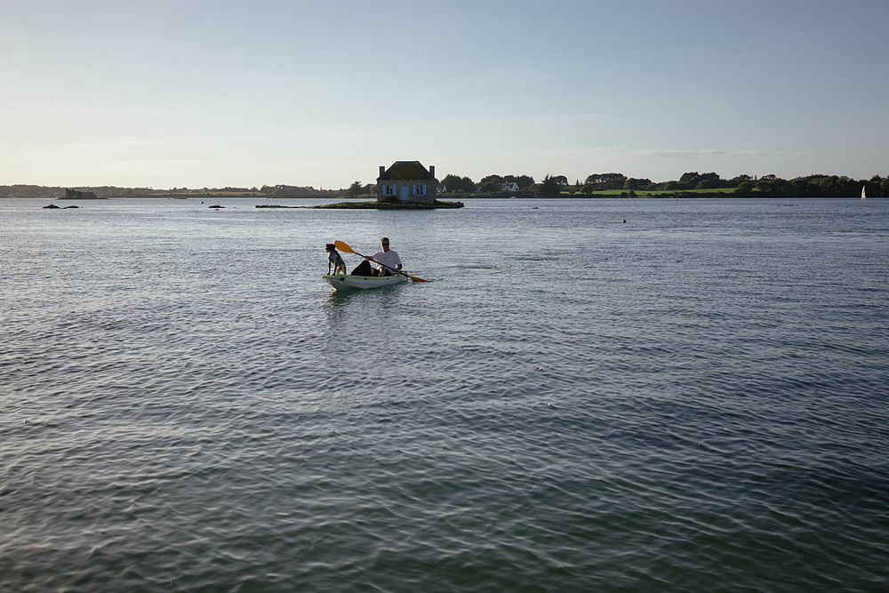 chien sur canoe