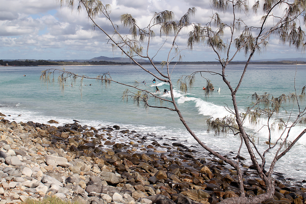 Noosa national parc