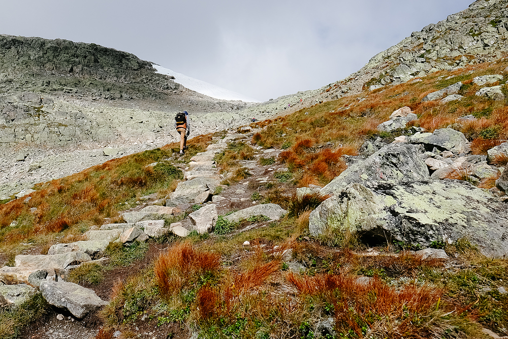 prestholt trail