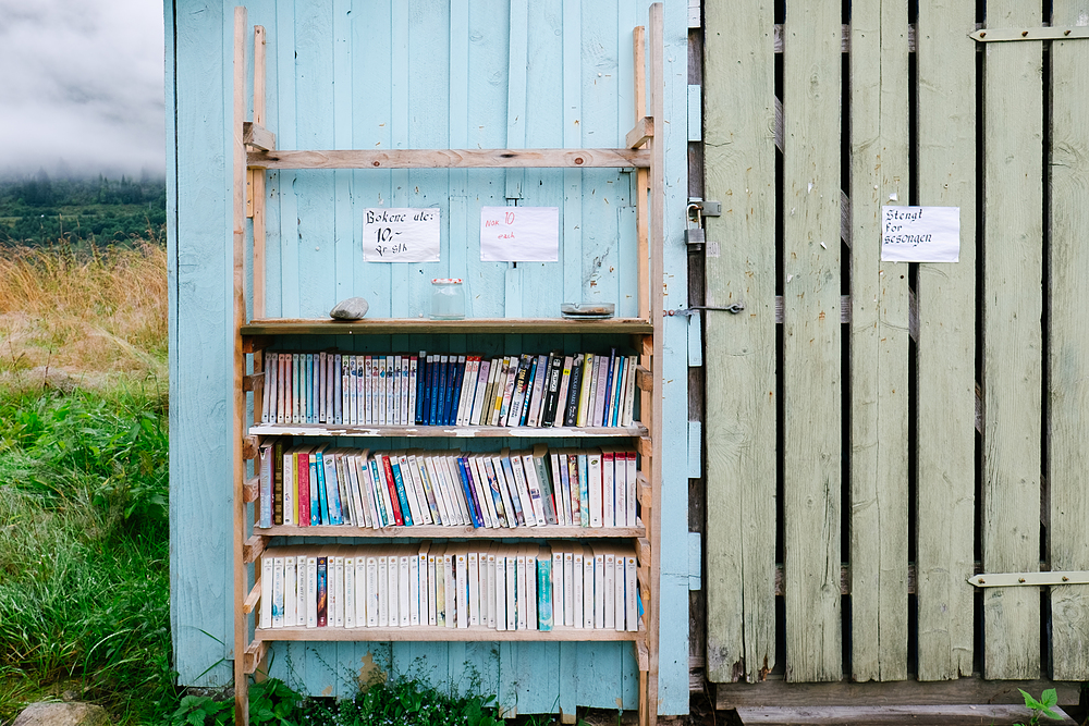 Fjaerland ville des livres