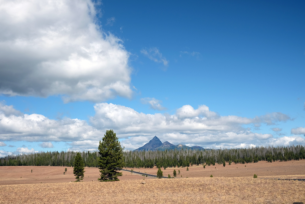 oregon paysage