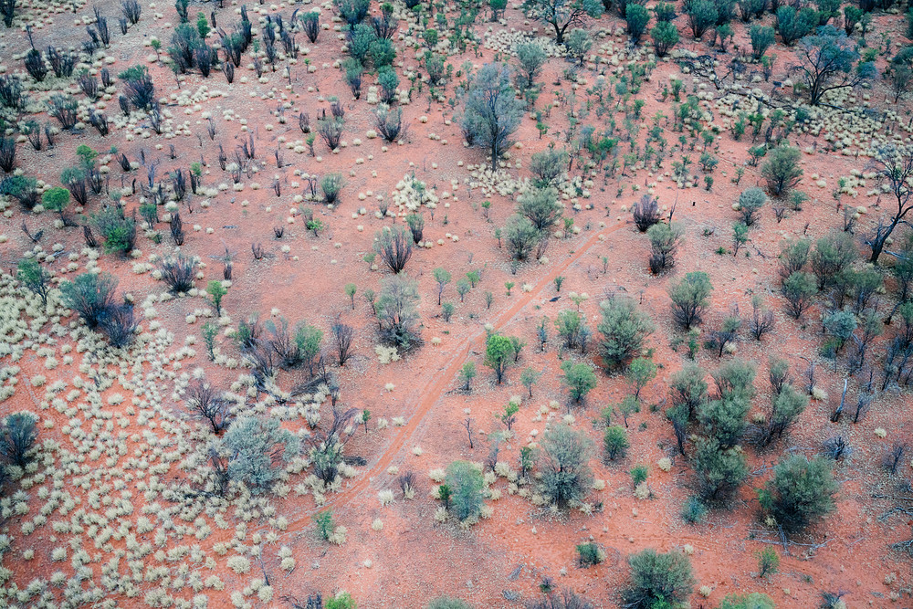 montgolfière australie