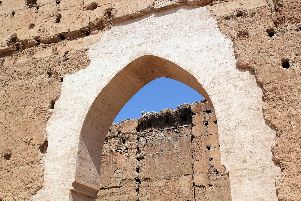 Cigogne - Palais El Badi