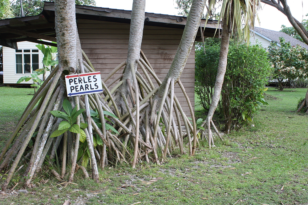 visite ferme perlière tahiti