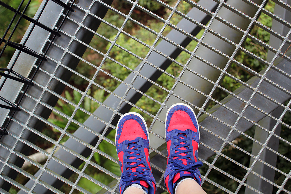 Skywalk rainforest