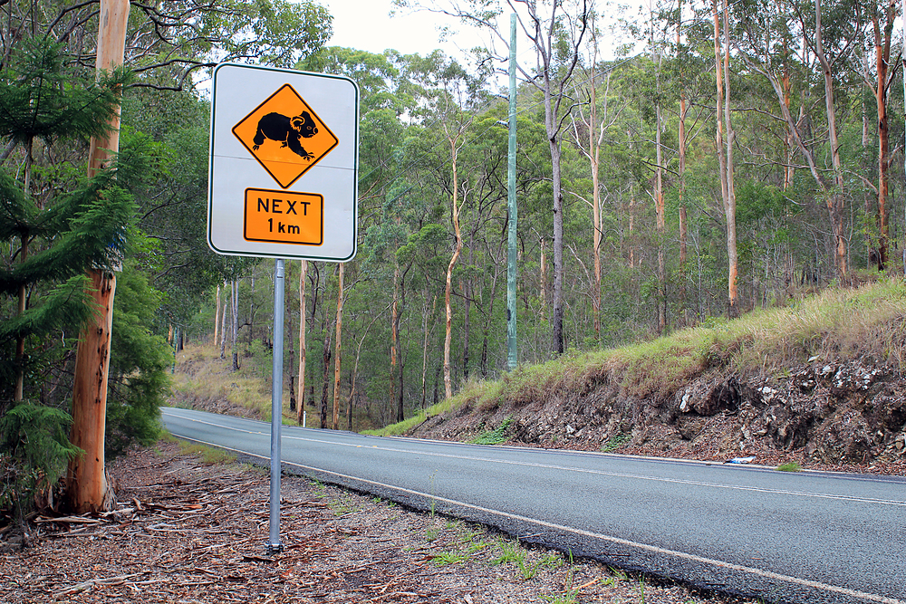 Koala Sign