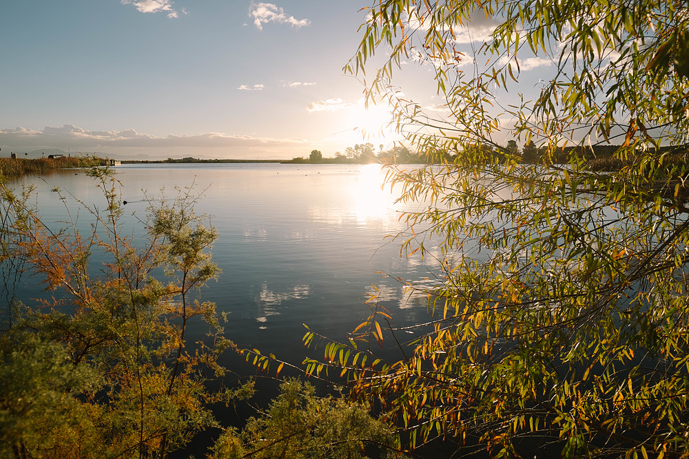 roper lake camping