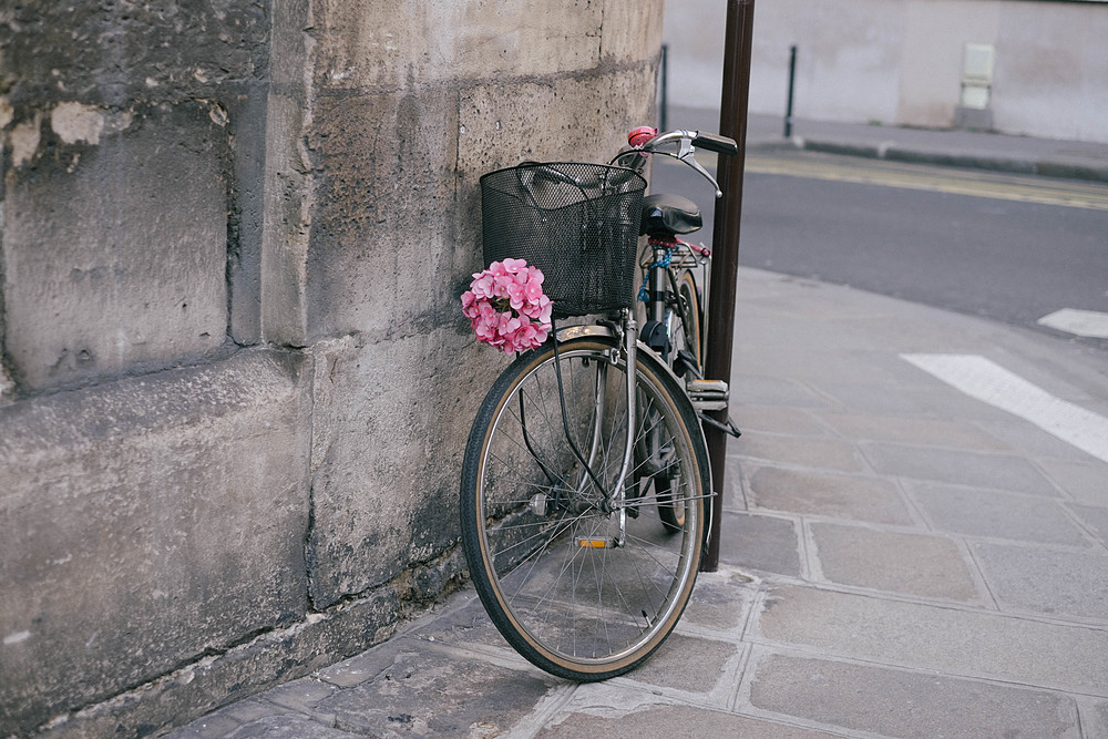 vélo fleuri paris