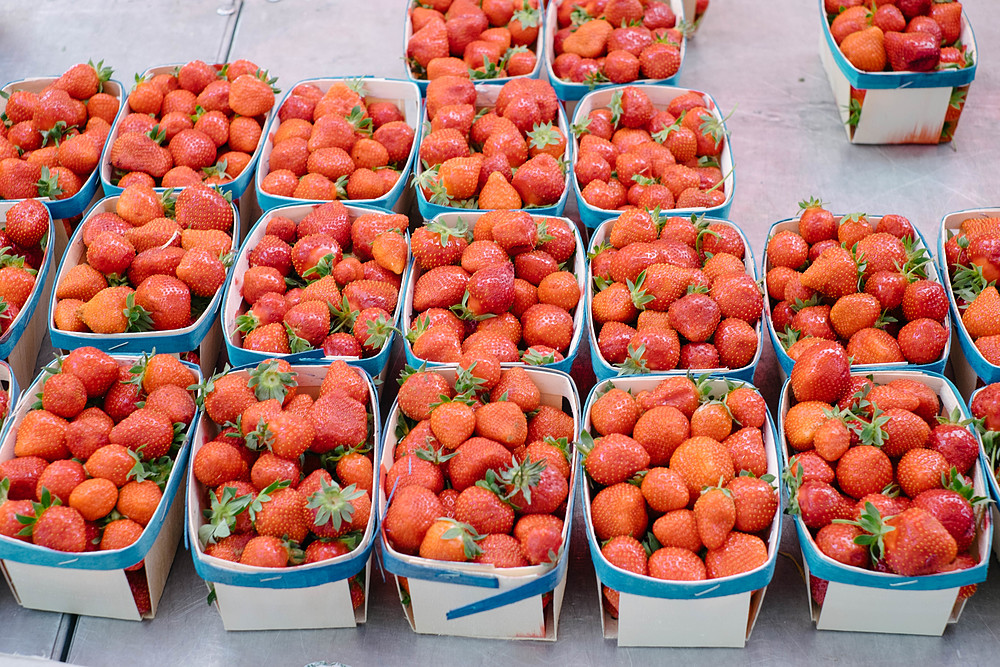 fraises marché annecy