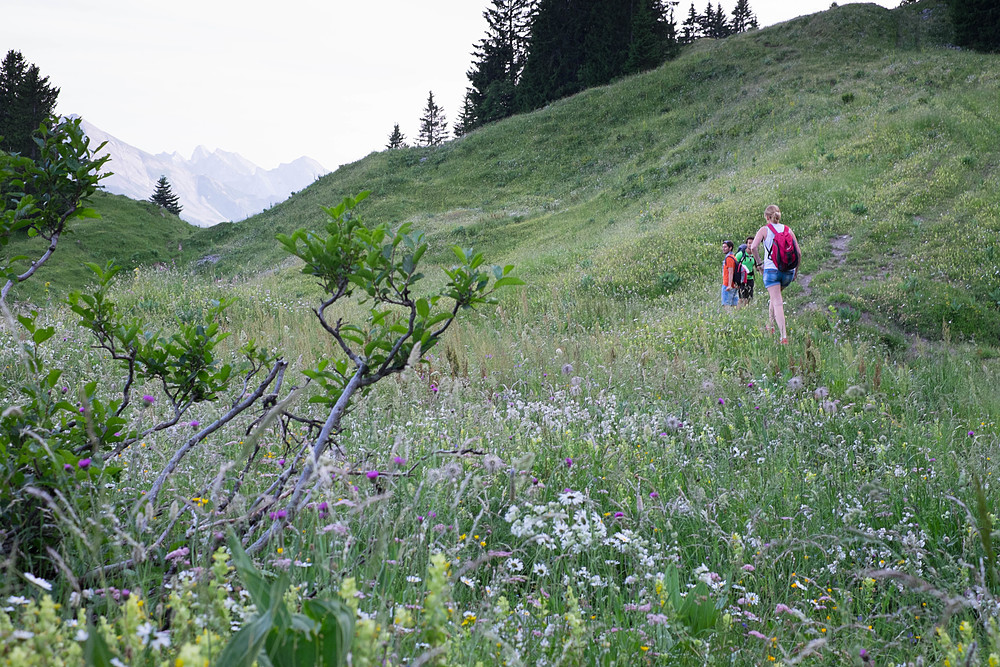 randonnée les aravis été