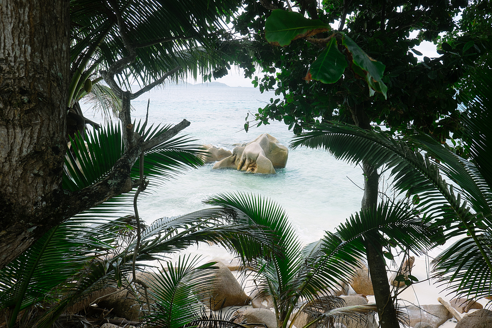 anse patates la digue