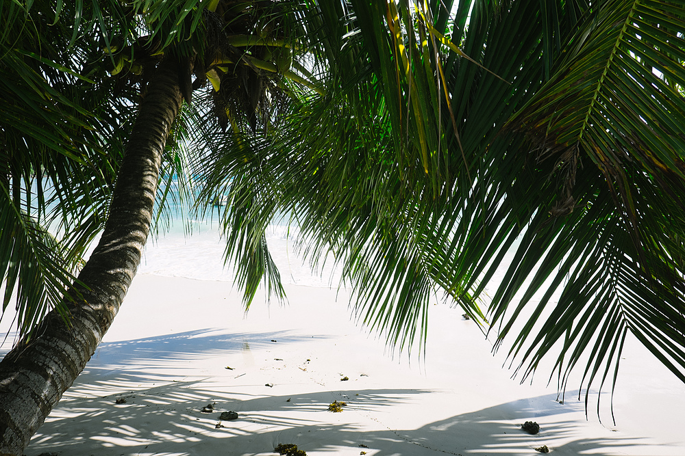 plage seychelles