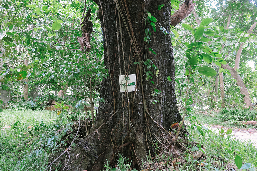 no parking seychelles