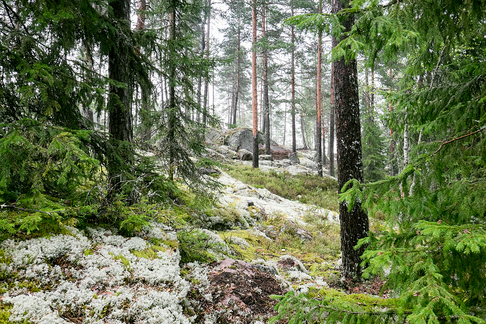 nuuksio national park