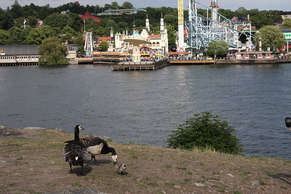 parc d'attractions stockholm