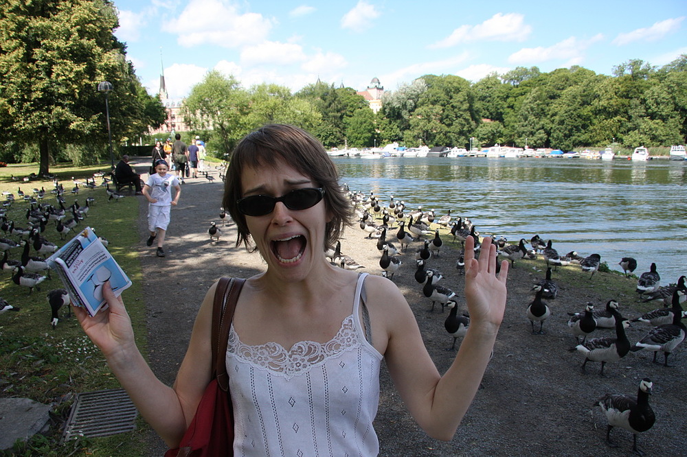 peur des oiseaux à stockholm