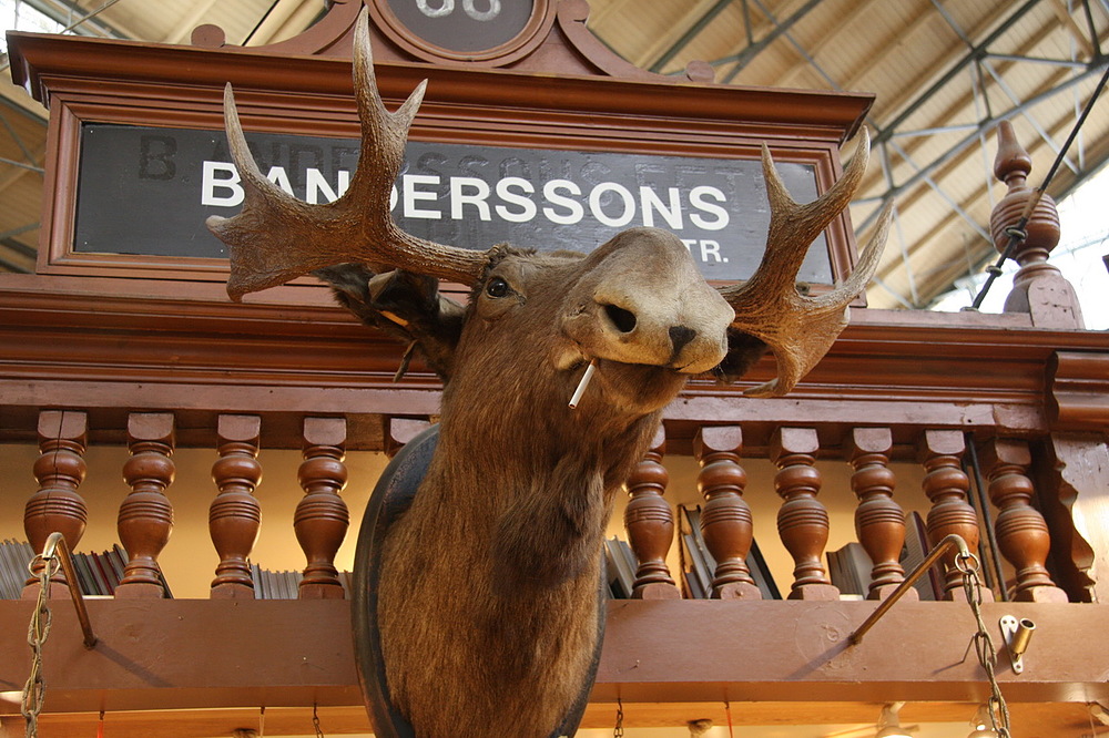 tête de cerf qui fume à stockholm