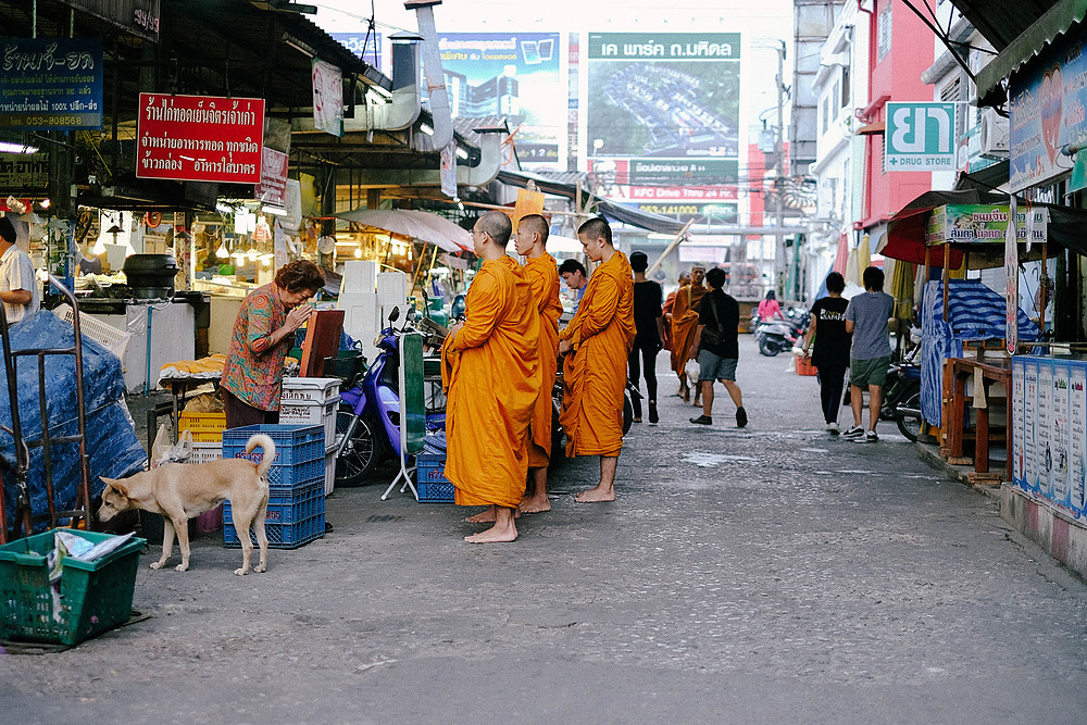 offrandes aux moines de chiang mai