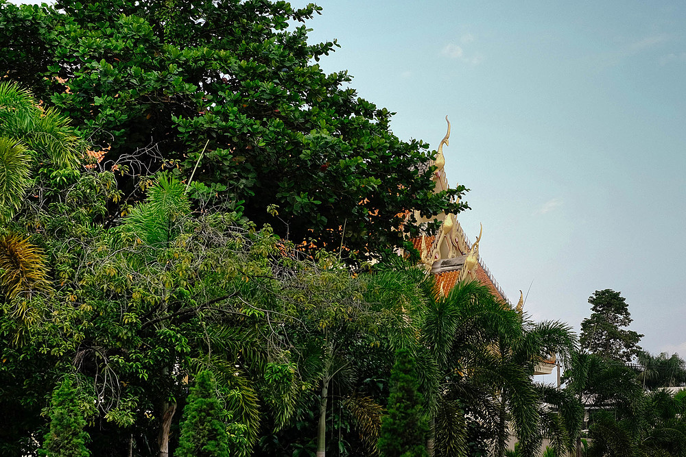 wat phra singh