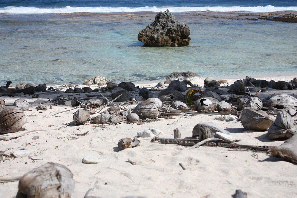 plage tikehau