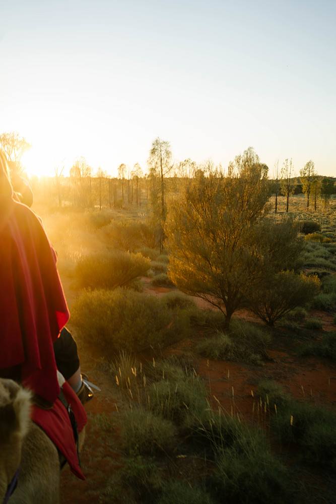 chameau à uluru